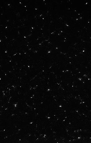 Star Granite